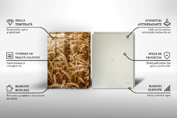 Üveg vágódeszka Gabona mező