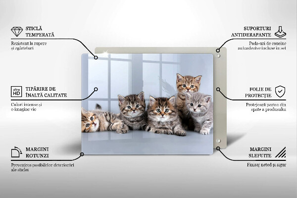 Üveg vágódeszka Édes kis cicák