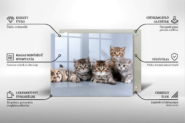 Üveg vágódeszka Édes kis cicák