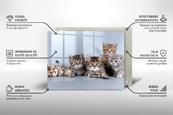 Üveg vágódeszka Édes kis cicák