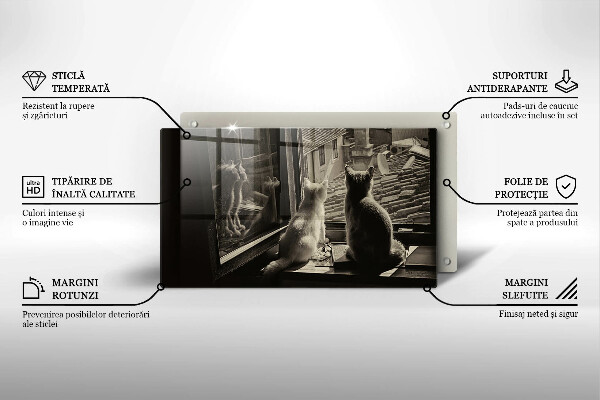 Üveg vágódeszka Macskák város és ablak