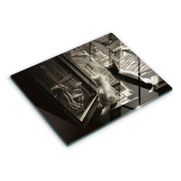 Üveg vágódeszka Macskák város és ablak