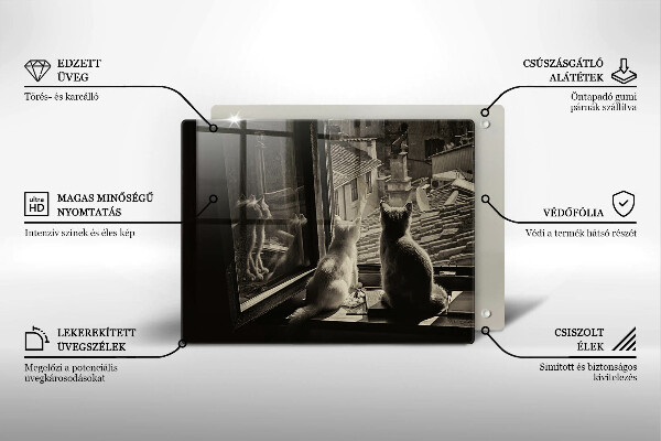 Üveg vágódeszka Macskák város és ablak