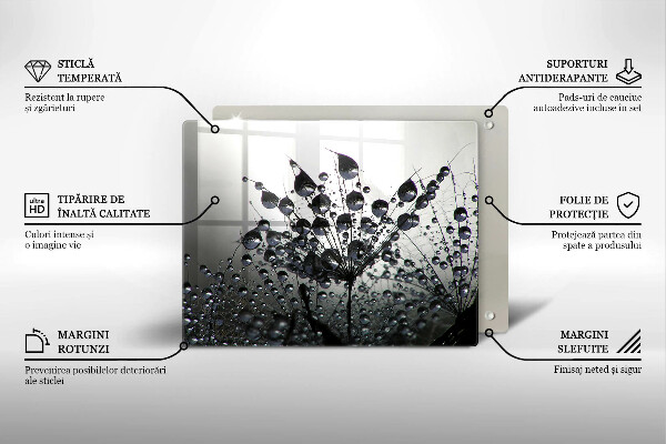 Üveg vágódeszka Pitypang és harmat