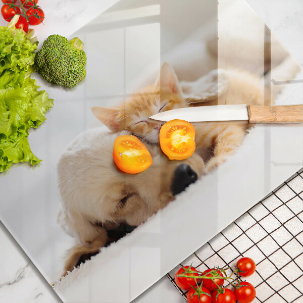 Üveg vágódeszka Állatok kutya és macska