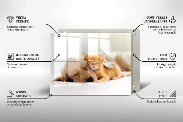 Üveg vágódeszka Állatok kutya és macska