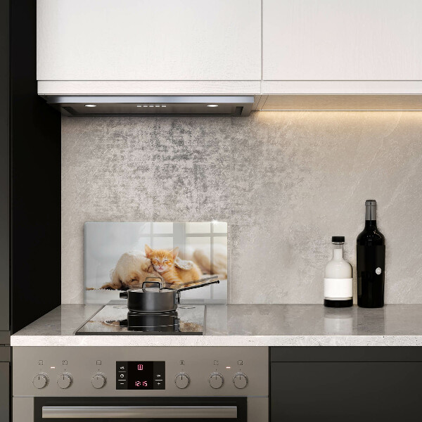 Üveg vágódeszka Állatok kutya és macska