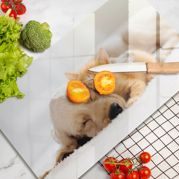 Üveg vágódeszka Állatok kutya és macska