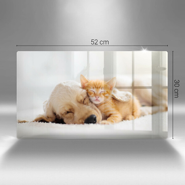 Üveg vágódeszka Állatok kutya és macska