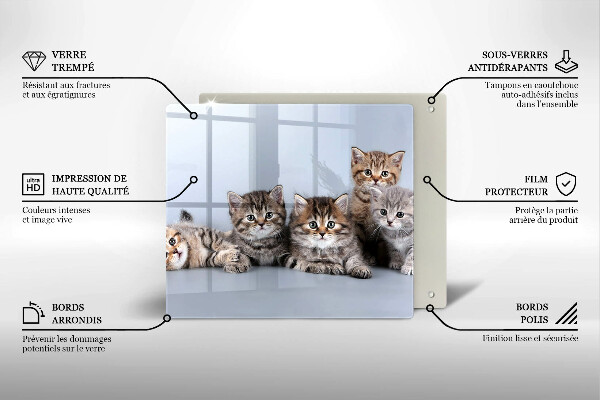 Üveg vágódeszka Édes kis cicák