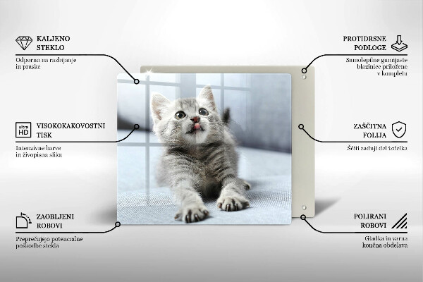 Üveg vágódeszka Aranyos kis cica