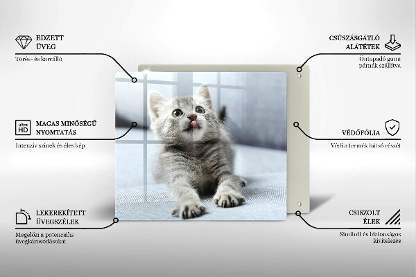 Üveg vágódeszka Aranyos kis cica