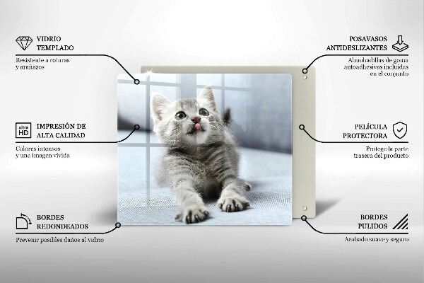 Üveg vágódeszka Aranyos kis cica