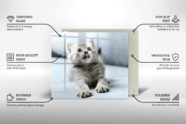 Üveg vágódeszka Aranyos kis cica