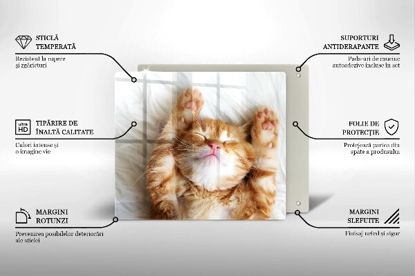 Üveg vágódeszka Aranyos kis cica