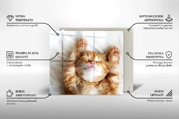 Üveg vágódeszka Aranyos kis cica