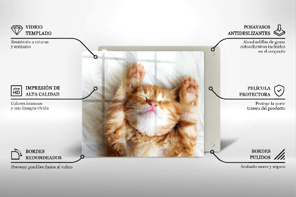 Üveg vágódeszka Aranyos kis cica