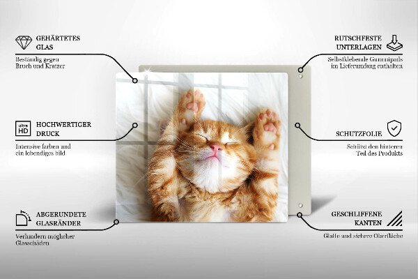 Üveg vágódeszka Aranyos kis cica