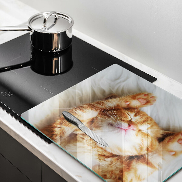 Üveg vágódeszka Aranyos kis cica