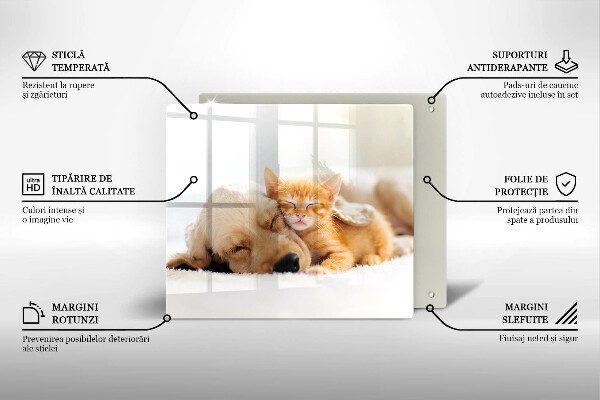 Üveg vágódeszka Állatok kutya és macska