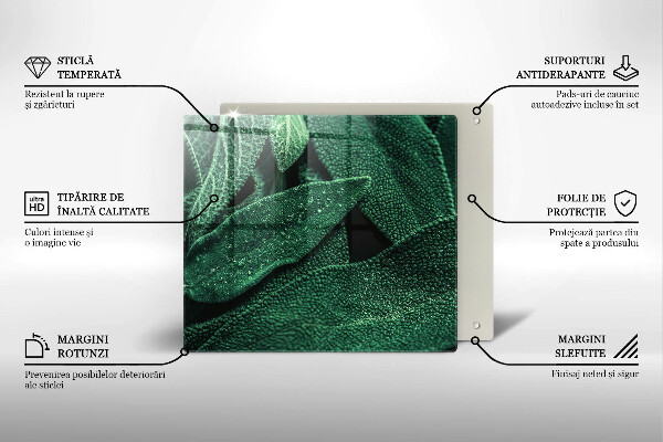 Üveg vágódeszka A növény levelei