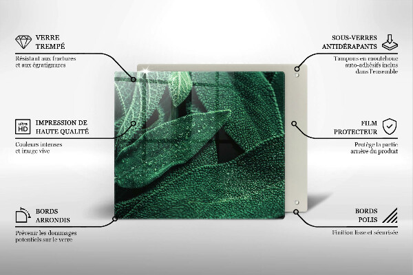 Üveg vágódeszka A növény levelei