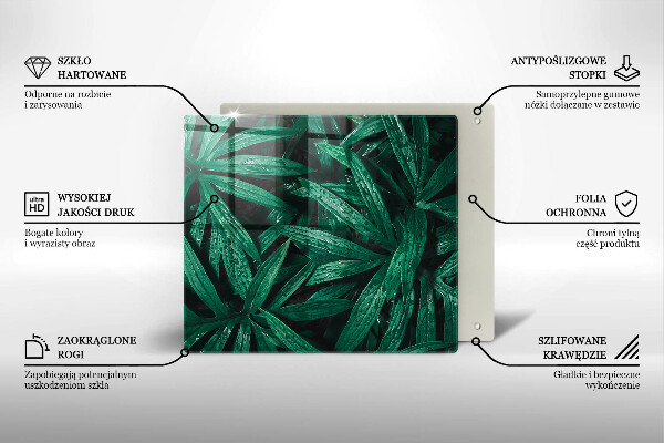 Üveg vágódeszka Növények levelei