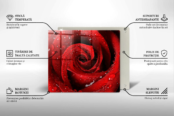 Üveg vágódeszka Rózsa virág szirmai