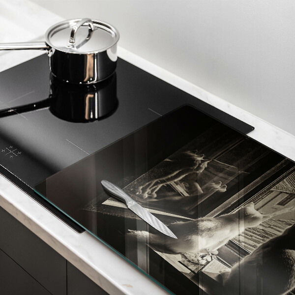 Üveg vágódeszka Macskák város és ablak