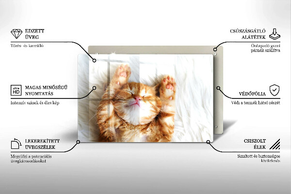 Üveg vágódeszka Aranyos kis cica