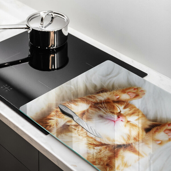 Üveg vágódeszka Aranyos kis cica