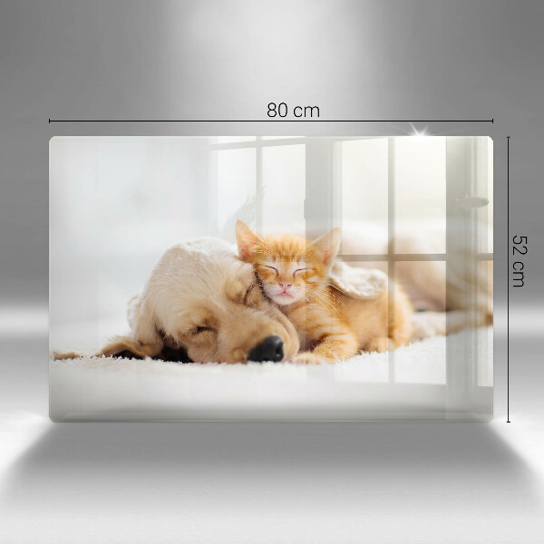 Üveg vágódeszka Állatok kutya és macska