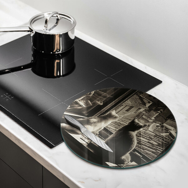 Üveg vágódeszka Macskák város és ablak