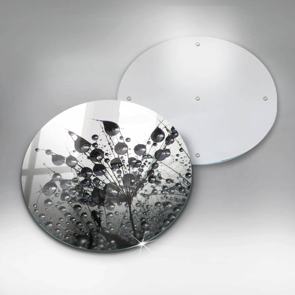 Üveg vágódeszka Pitypang és harmat