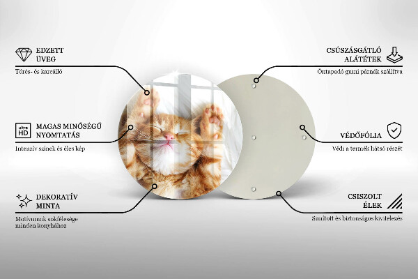 Üveg vágódeszka Aranyos kis cica