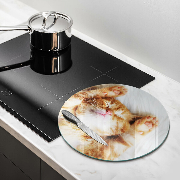 Üveg vágódeszka Aranyos kis cica