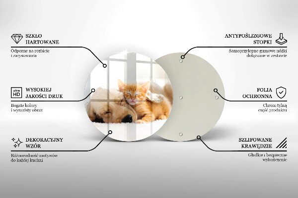 Üveg vágódeszka Állatok kutya és macska