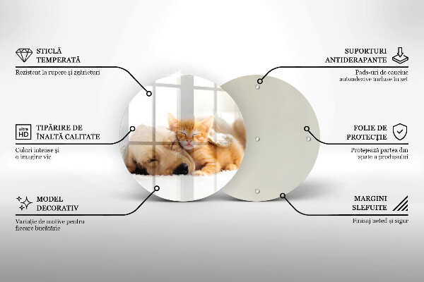 Üveg vágódeszka Állatok kutya és macska
