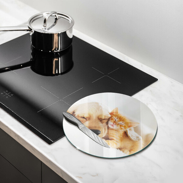 Üveg vágódeszka Állatok kutya és macska
