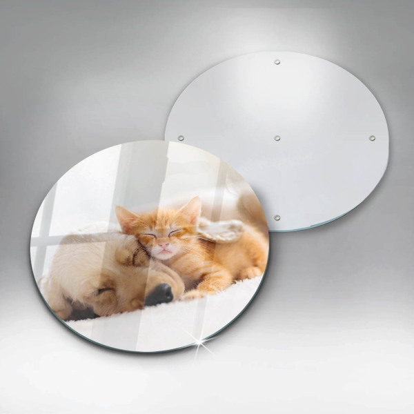 Üveg vágódeszka Állatok kutya és macska