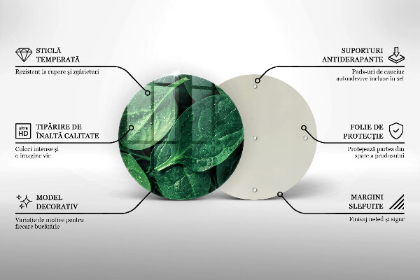 Üveg vágódeszka Bazsalikom