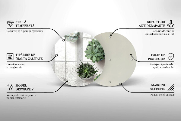 Üveg vágódeszka Pozsgás növények betonon