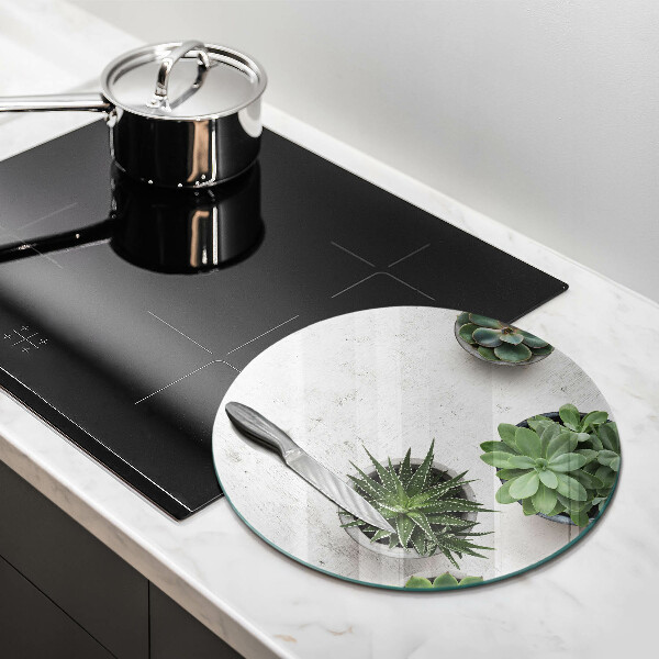 Üveg vágódeszka Pozsgás növények betonon