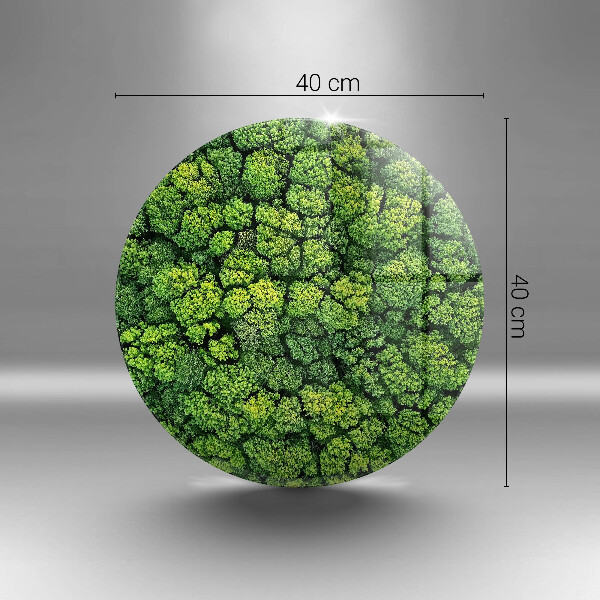 Üveg vágódeszka Természet moha növény