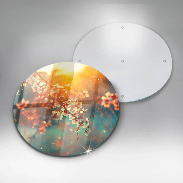 Üveg vágódeszka Alma virágzik a napon