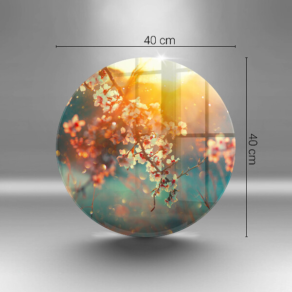 Üveg vágódeszka Alma virágzik a napon