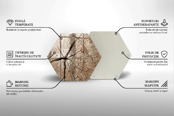 Üveg vágódeszka Egy fa keresztmetszete