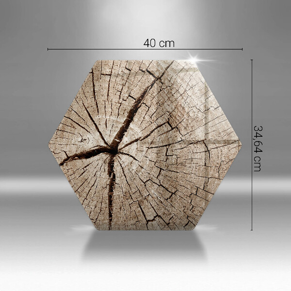 Üveg vágódeszka Egy fa keresztmetszete