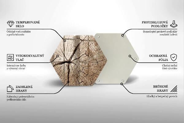 Üveg vágódeszka Egy fa keresztmetszete