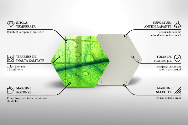 Üveg vágódeszka Közeli kép egy levélről